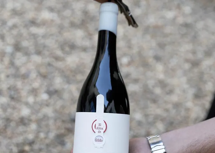 Casa Nicola Apartman Toro